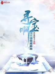 流星蝴蝶剑枪大招