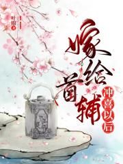 穿越火凤凰之九龙系统