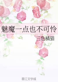 白莲花失忆后