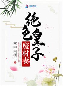 少年阿小宾第二部