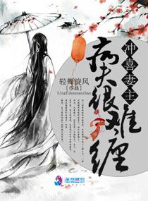 977国产连接线