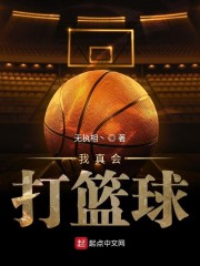 电视剧伪装者