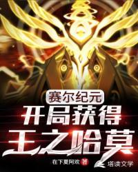 贵妇的面纱