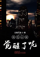 少爷的日常生活之换装少女