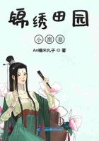 家族女人全收入后宫
