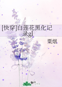 乡村满艳周青全集txt