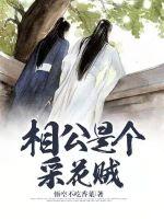 守望先锋dva兔子舞本子