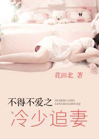 少帅电视剧免费播放