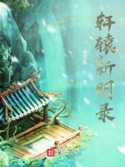 野花免费高清在线观看6