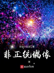 明月几时有王菲