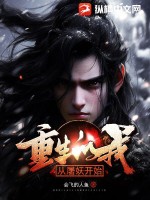 飞狐外传小说
