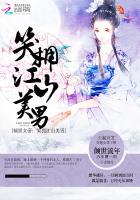 易感期高黄车