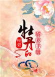 qz8 app官网