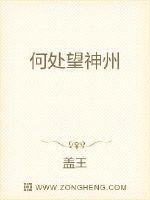 九爷的大牌夫人