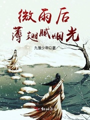 虫虫漫画网页弹窗入口