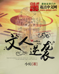 囚宠小说傅喻