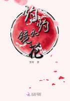 杨子老婆陶虹
