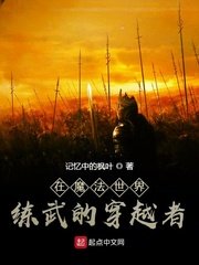 夜访吸血鬼小说