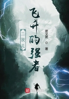 顽主贾二虎完整