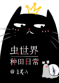 在深圳合租的日子完整