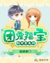 岁岁有今朝茶茶好萌