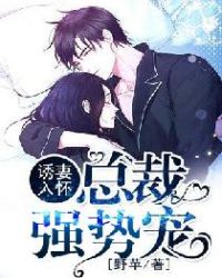 高桥圣子番号作品