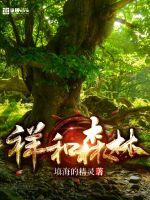 肆意人生路小说