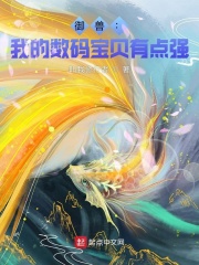 拳王阿里电影