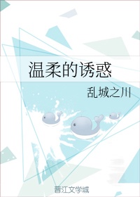 完美犯罪小说