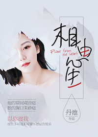 太子的金丝雀跑路了