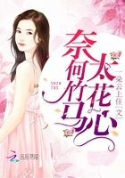 姐妹的诱惑小说