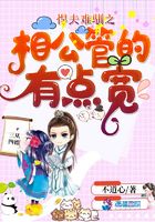 老婆是魔法少女