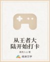 小向美奈子在线