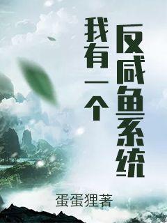 泰迪熊3