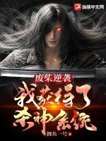 双面荡夫小说