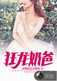 奈何boss要娶我2