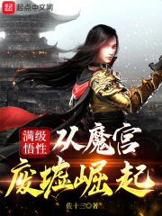 功夫机器侠之南拳
