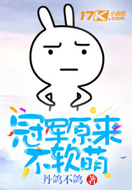 鸣鸟不飞2
