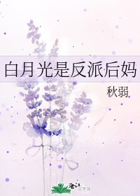 一个吃货的幸福清穿