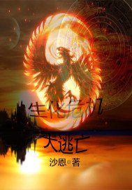 变形金刚5:最后的骑士 电影