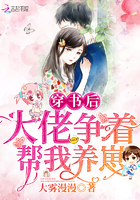 雷电将军乳液抱枕