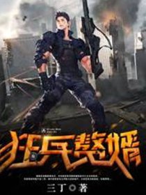 花翎飞盗