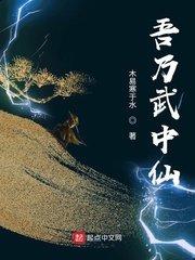 高家丫鬟