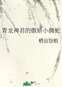 胖老太婆毛茸茸