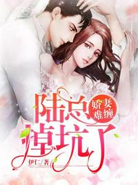 9277高清免费观看在线视频