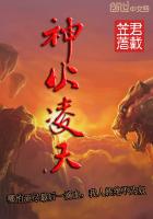 重生赵志敬完整版txt