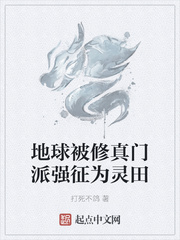 婢女上位记屋里的星星