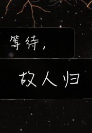 小说:阿兵的快乐生活