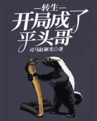 5252bo最新网站