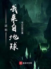 无爱言婚 叶落无心 小说